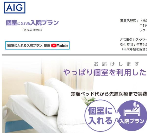 AIG損保