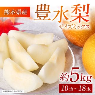 豊水梨 約5kg 熊本県八千代市のサムネイル画像 2枚目