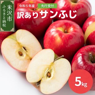 訳あり りんご サンふじ 5kg 山形県米沢市のサムネイル画像 1枚目
