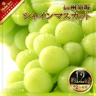 シャインマスカット 約2～4房（約1.2kg） 長野県須坂市のサムネイル画像 1枚目