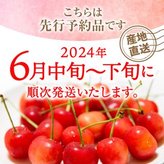 朝採りさくらんぼ「佐藤錦」秀品 1kg 山形県河北町のサムネイル画像 3枚目