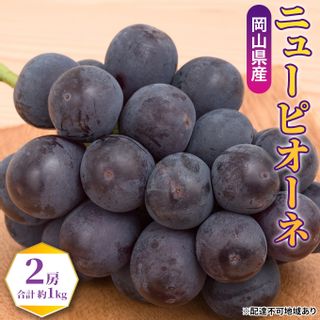 ニューピオーネ 2房（合計約1kg）の画像 1枚目