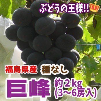 福島県産　巨峰(種なし)　約2kg箱 こだわり横丁　ふくしまやのサムネイル画像 1枚目