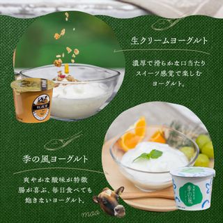 ヨーグルト 2種類 食べ比べ 盛沢山 20個 セット の画像 2枚目