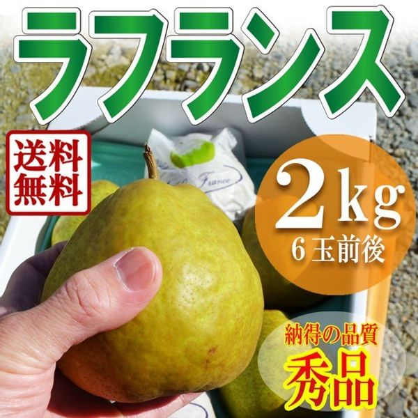 ラフランス 贈答用 2kg グルメ&ギフトお取り寄せ山形eLabのサムネイル画像 1枚目