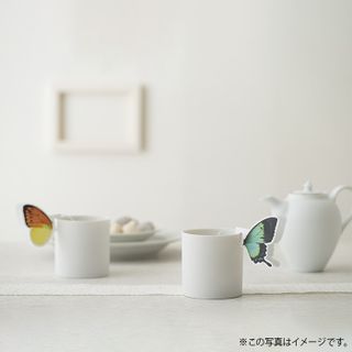 BUTTERFLY TEA / 3箱セット ティータイム の画像 2枚目