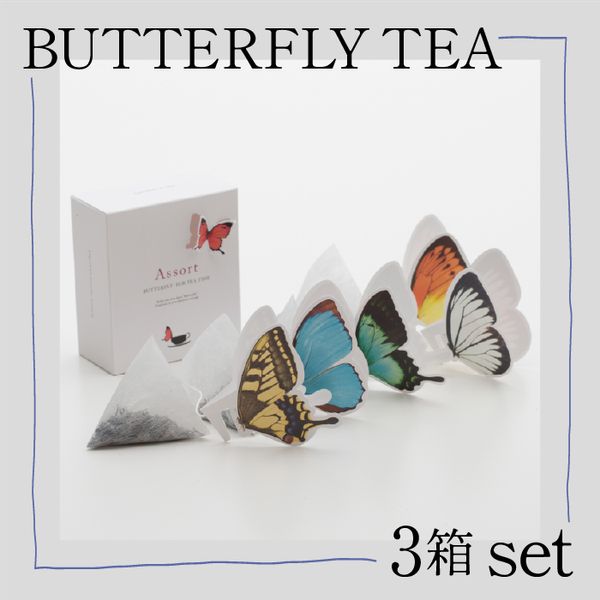 BUTTERFLY TEA / 3箱セット ティータイム  石川県小松市のサムネイル画像 1枚目