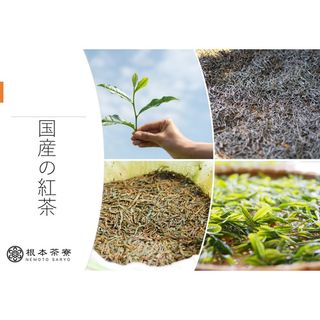 No.174 さしま和紅茶ペットボトル ／ さしま茶 国産紅茶 無糖 無香料 茨城県坂東市のサムネイル画像 2枚目