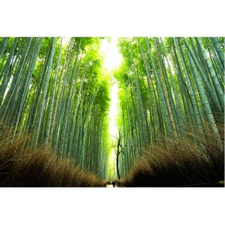 京都 30,000円分 JTBふるさと納税旅行クーポンの画像 3枚目
