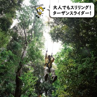 無人島田島(たしま)レイトプラン ファミリー宿泊チケットの画像 3枚目