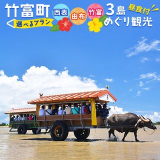 西表・由布・竹富 3島めぐり(昼食付)の画像 1枚目