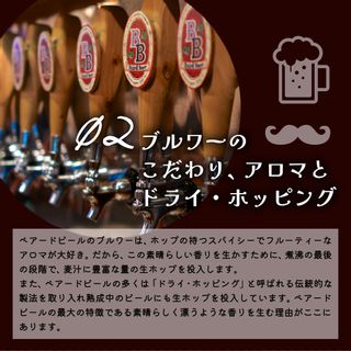 ベアードビール おすすめ 12本セット 330ml×12本  静岡県伊豆市のサムネイル画像 4枚目