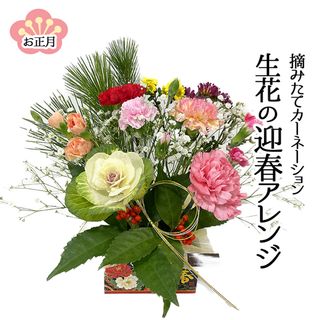 【先行予約】摘みたてカーネーション 生花の迎春アレンジの画像 1枚目