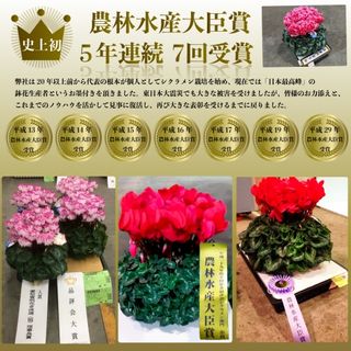 【花ギフト定期便】根本園芸（12～5月 毎月 お届け）の画像 2枚目