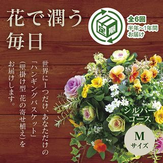 花うるるのハンギング定期便~シルバーコース【全6回】の画像 1枚目