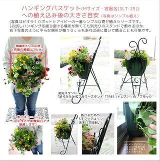 花うるるのハンギング定期便~シルバーコース【全6回】の画像 3枚目