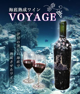 海底熟成ワインVOYAGE カサーレ ヴェッキオ モンテプルチャーノ ダブルッツォの画像 2枚目