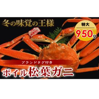 先行予約【魚倉】タグ 付き ボイル 松葉ガニ （特大 950g 以上）の画像 1枚目