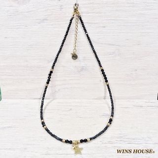 オニキス＆ブラックスピネル WINS HOUSE（ウインズハウス）のサムネイル画像 1枚目