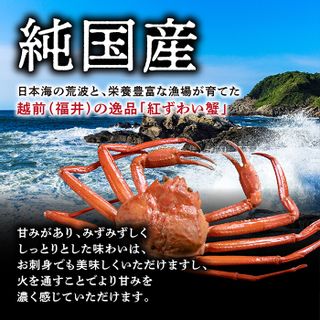 越前産 1.2kg 紅ズワイガニ 足棒のみ(ハーフポーション)  福井県越前市のサムネイル画像 3枚目