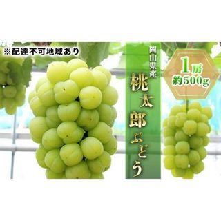 桃太郎 ぶどう 1房（約500g） 岡山県里庄町のサムネイル画像 1枚目