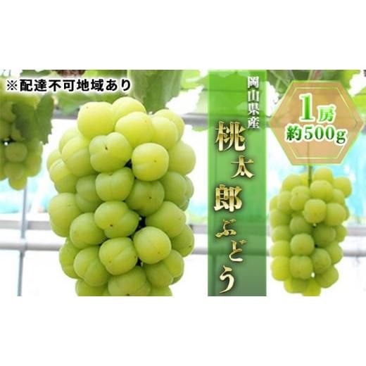 桃太郎 ぶどう 1房（約500g）の画像