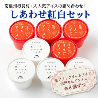 生ソフトクリームアイス＆信州りんごアイス たっぷり16個セット 長野県根羽村のサムネイル画像 2枚目