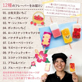 マナマナ アイスキャンデー12本の画像 3枚目