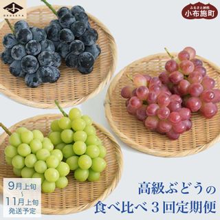 【ふるさと納税】［3回定期便］ 高級ぶどう食べ比べ定期便 ［小布施屋］ 長野県小布施町のサムネイル画像 1枚目