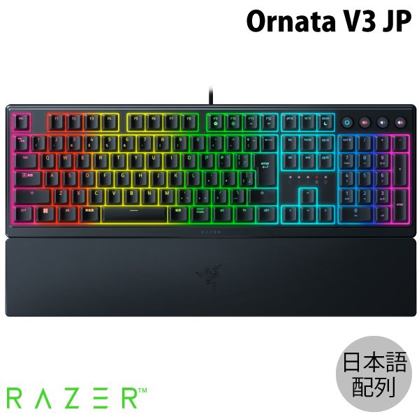 Ornata V3 JPの画像