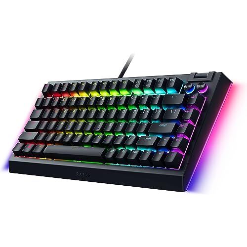 BlackWidow V4 75% Razer(レイザー)のサムネイル画像 3枚目