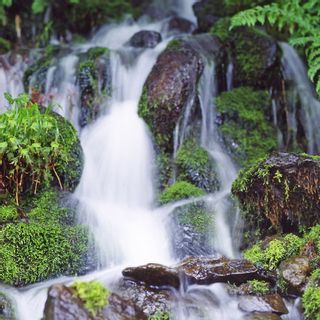 【山形の極み】月光の水 ～月山自然水～ 2L×12本 の画像 3枚目