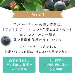 市産ブルーベリー(2kg)の画像 3枚目