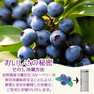 自然栽培ブルーベリー 750gの画像 2枚目