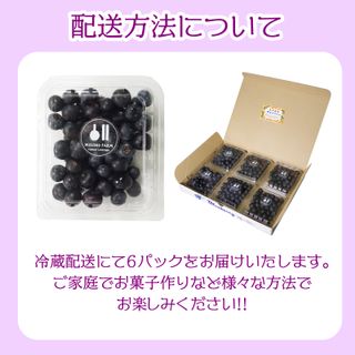 自然栽培ブルーベリー 750g 徳島県小松島市のサムネイル画像 4枚目