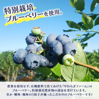 冷凍ブルーベリー 1kg 茨城県小美玉市のサムネイル画像 3枚目