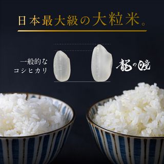 令和4年産 龍の瞳 450g×2 (計6合)の画像 2枚目