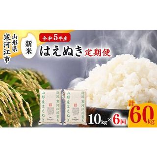 【令和5年産】はえぬき計60kg！お米定期便（10kg×6回）072-C-JA013の画像 1枚目