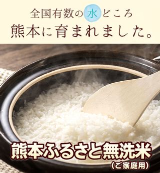 訳あり 家庭用 熊本ふるさと 無洗 米 12kの画像 2枚目