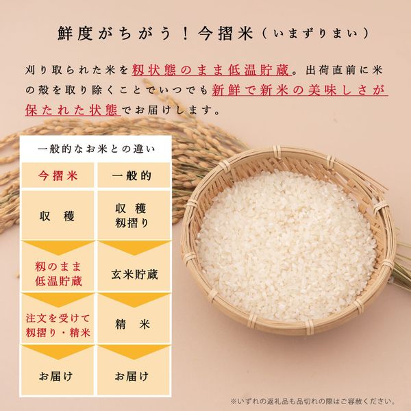 令和5年産新米 籾貯蔵今摺米きたくりん無洗米 11kg (5.5kg×2袋) 北海道当麻町のサムネイル画像 2枚目