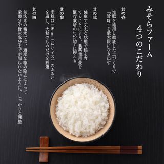 《定期便12ヶ月》【無洗米】 秋田県産 あきたこまち 10kg×12回 (5kg×2袋) 計120kgの画像 3枚目