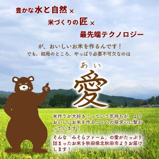 《定期便12ヶ月》【無洗米】 秋田県産 あきたこまち 10kg×12回 (5kg×2袋) 計120kgの画像 2枚目