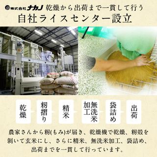 【無洗米】 真空パック 京都丹波産 キヌヒカリ 10kg（2kg×5袋）の画像 2枚目