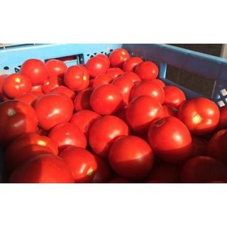 完熟トマトジュース 飲み比べ 15本セット (各種5本ずつ) の画像 3枚目