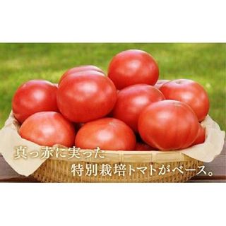 野菜ジュースVegemix（ベジミックス）15缶ギフト 北海道旭川市のサムネイル画像 2枚目