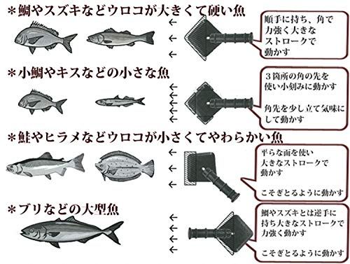 新方式ウロコ取り器　鱗トル(S) 片力商事のサムネイル画像 3枚目