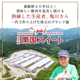 【定期便・全3回】亀川さんの甘熟豚南国スイート生餃子計360個（120個×3回） 鹿児島県志布志市のサムネイル画像 2枚目