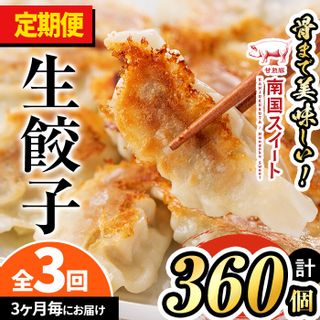 【定期便・全3回】亀川さんの甘熟豚南国スイート生餃子計360個（120個×3回）の画像 1枚目