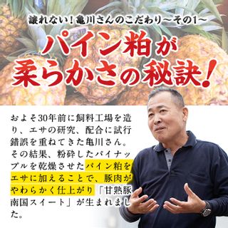 【定期便・全3回】亀川さんの甘熟豚南国スイート生餃子計360個（120個×3回） 鹿児島県志布志市のサムネイル画像 3枚目