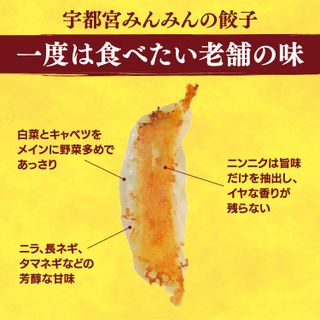 宇都宮餃子 宇都宮みんみん 餃子 30個入り×2箱の画像 3枚目